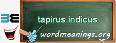 WordMeaning blackboard for tapirus indicus